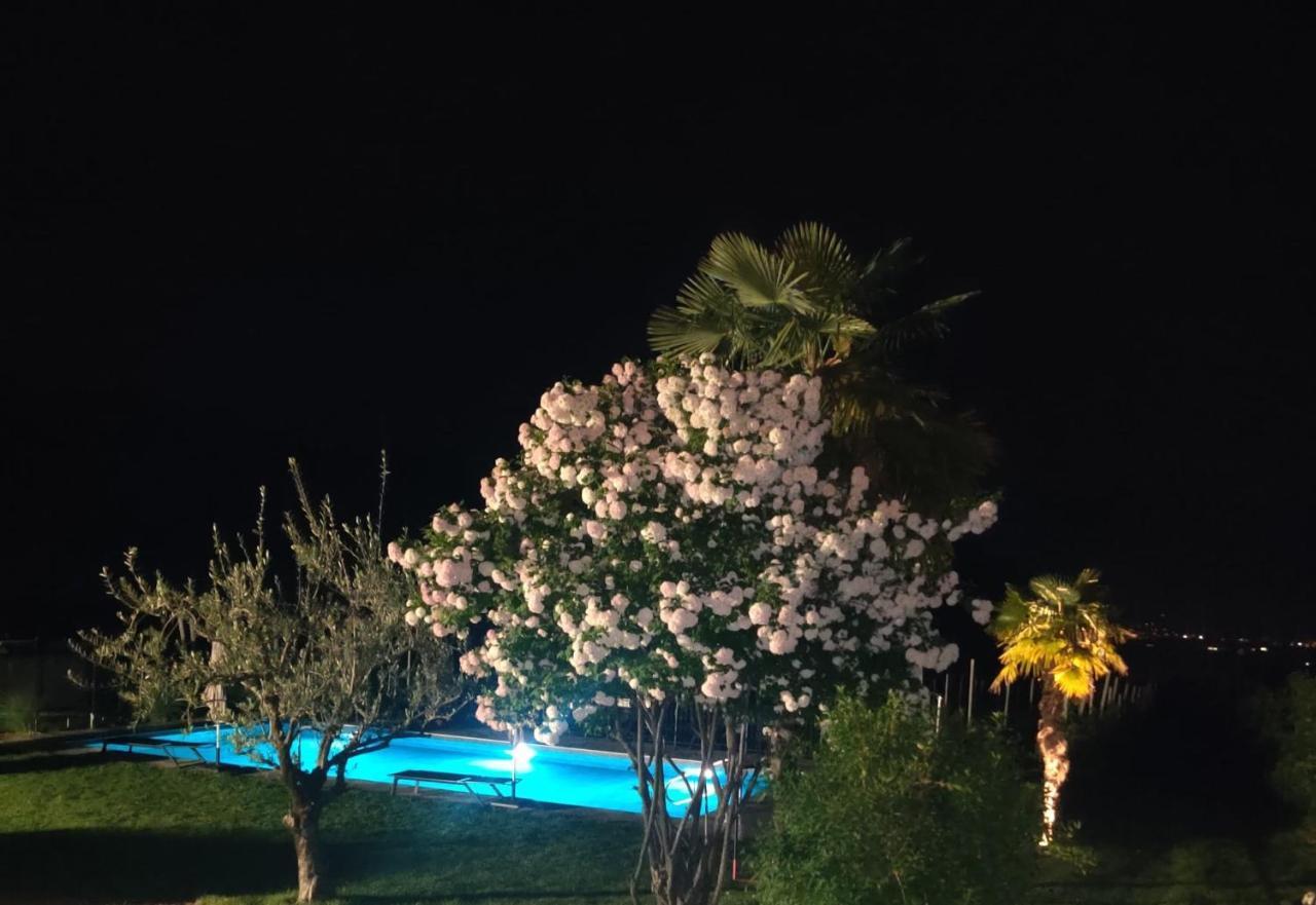 Mareithof Appartements Seeblick Caldaro Bagian luar foto
